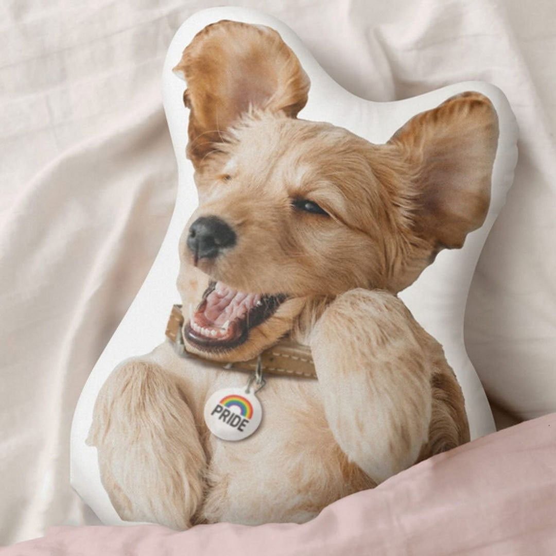 Personalized pet cushions, custom 3d pet cushions, ugly pet cushions