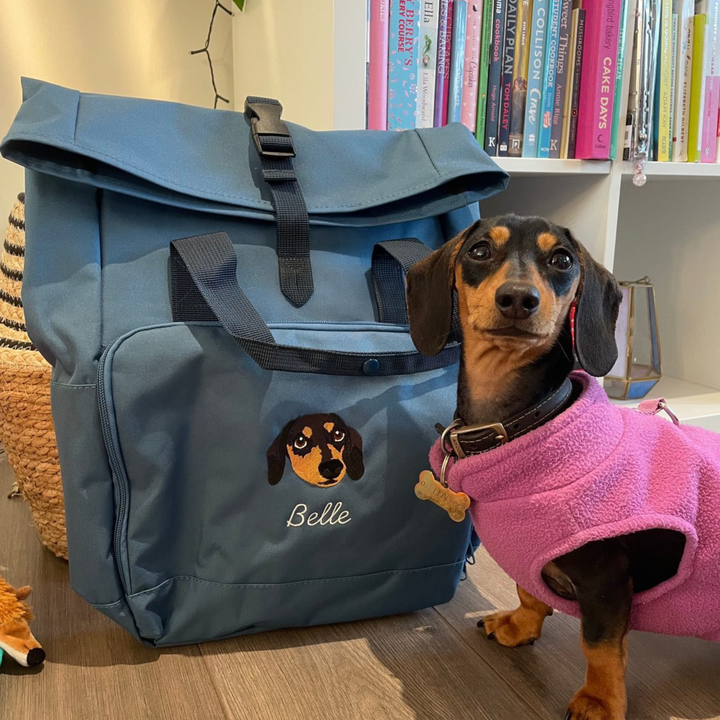 Recycled Mini or Large Embroidered Pet Portrait Backpack