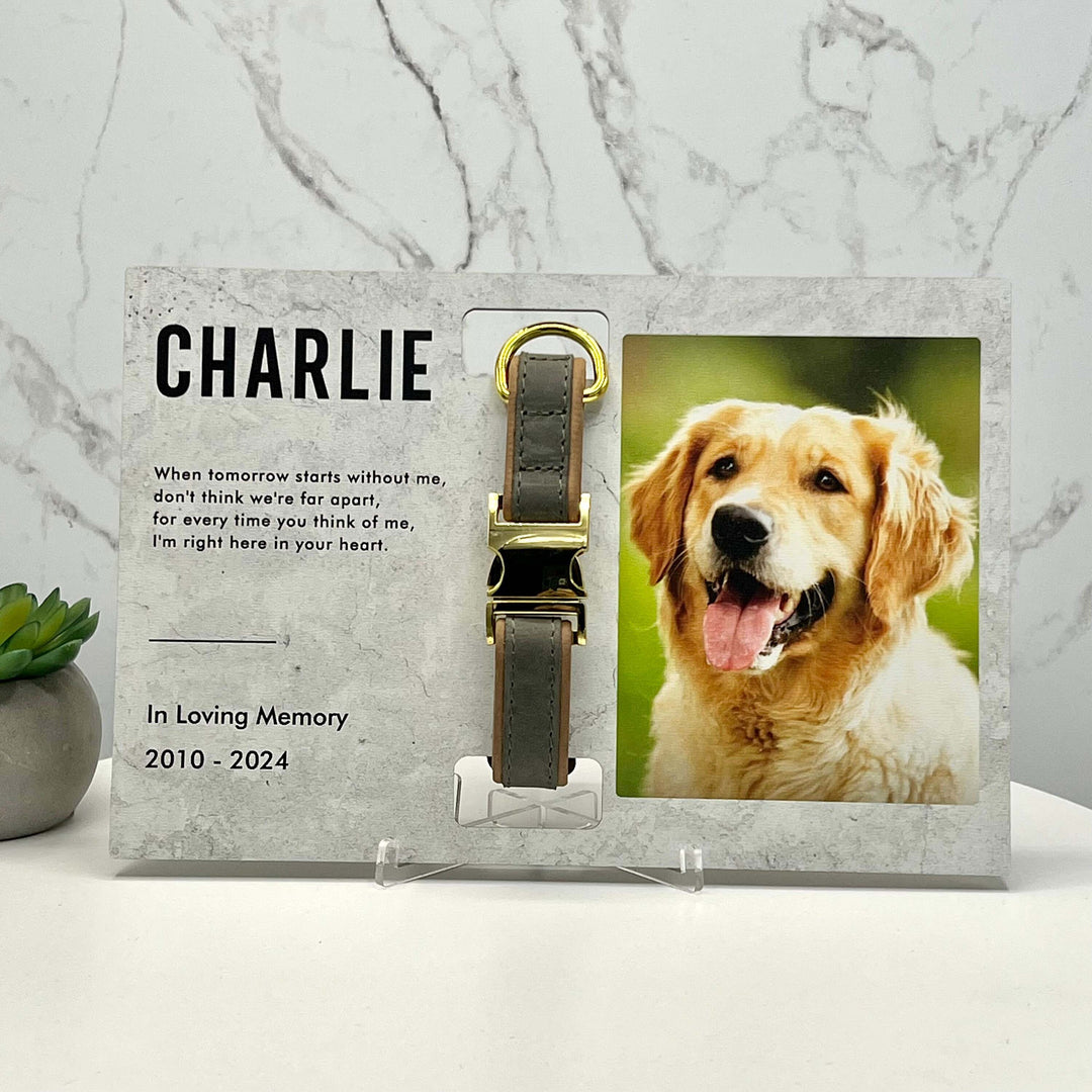 Custom Memorial Standing Frame, Pet Loss Gift, Memorial Pet Collar With Photo, Pet Collar Holder, Dog Bereavement