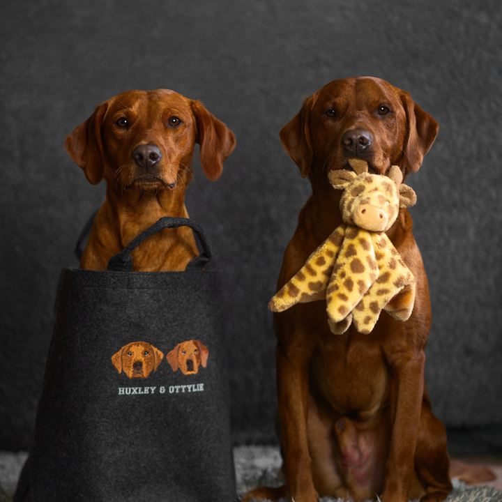 Embroidered Custom Pet Portrait Felt Toy Basket