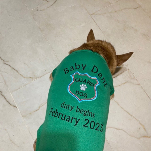 Annonce de grossesse pour chien - Annonce de grossesse pour chien - T-shirt d'annonce - T-shirt de grossesse pour chien - Révélation de grossesse pour chien - T-shirt grand frère pour chien 