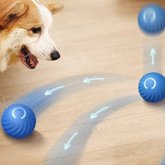 An Intelligent Jumping Ball Suitable For Medium And Small Dogs To Chase And Gnaw On