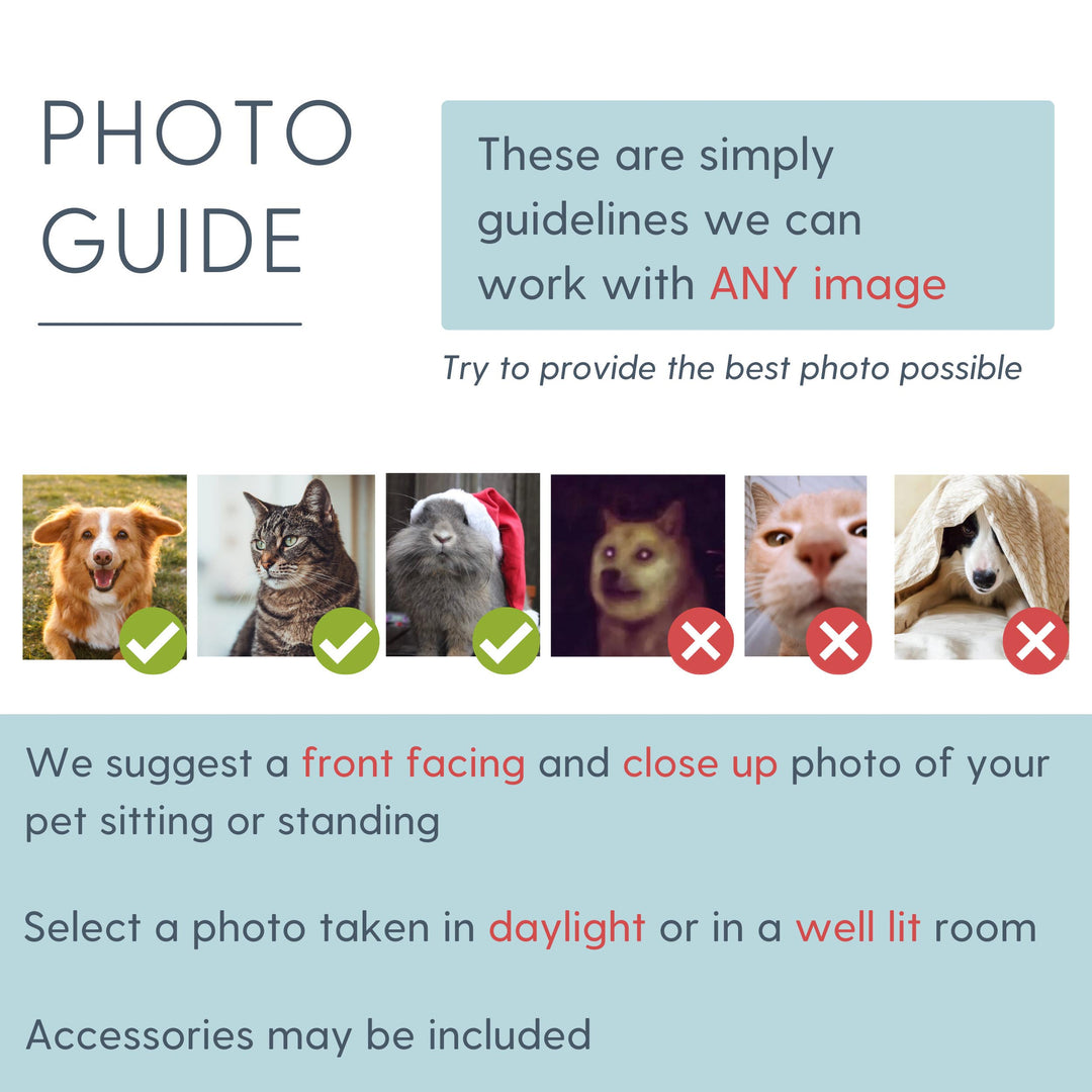 Custom Pet Pillow Using Pet Photo + Name Custom Dog Pillow