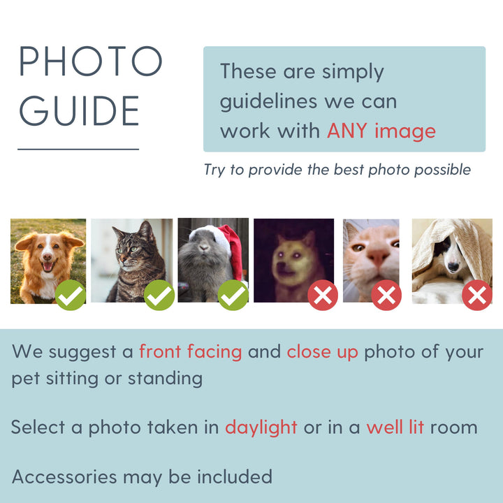 Custom Pet Pillow Using Pet Photo + Name Custom Dog Pillow