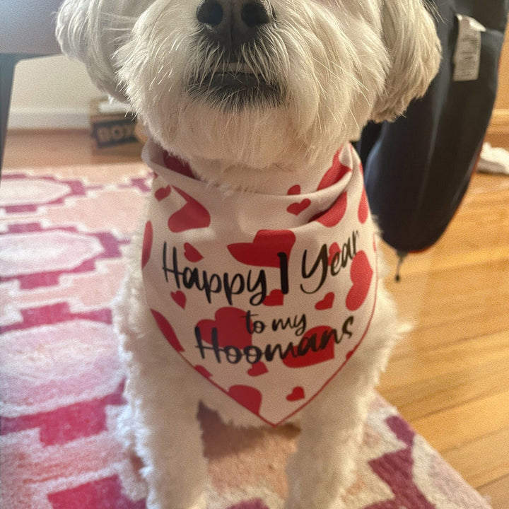 Valentine's Day Dog Bandana, Red Hearts on Blush