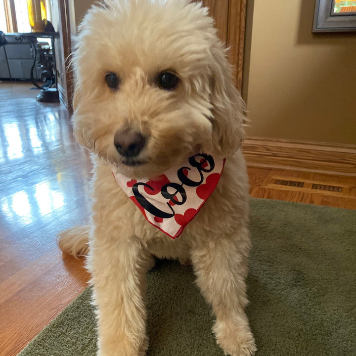Valentine's Day Dog Bandana, Red Hearts on Blush