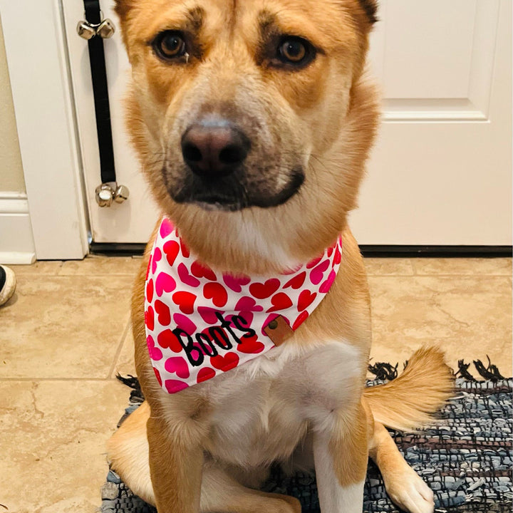 Valentine Dog bandana valentine dog gift heart dog