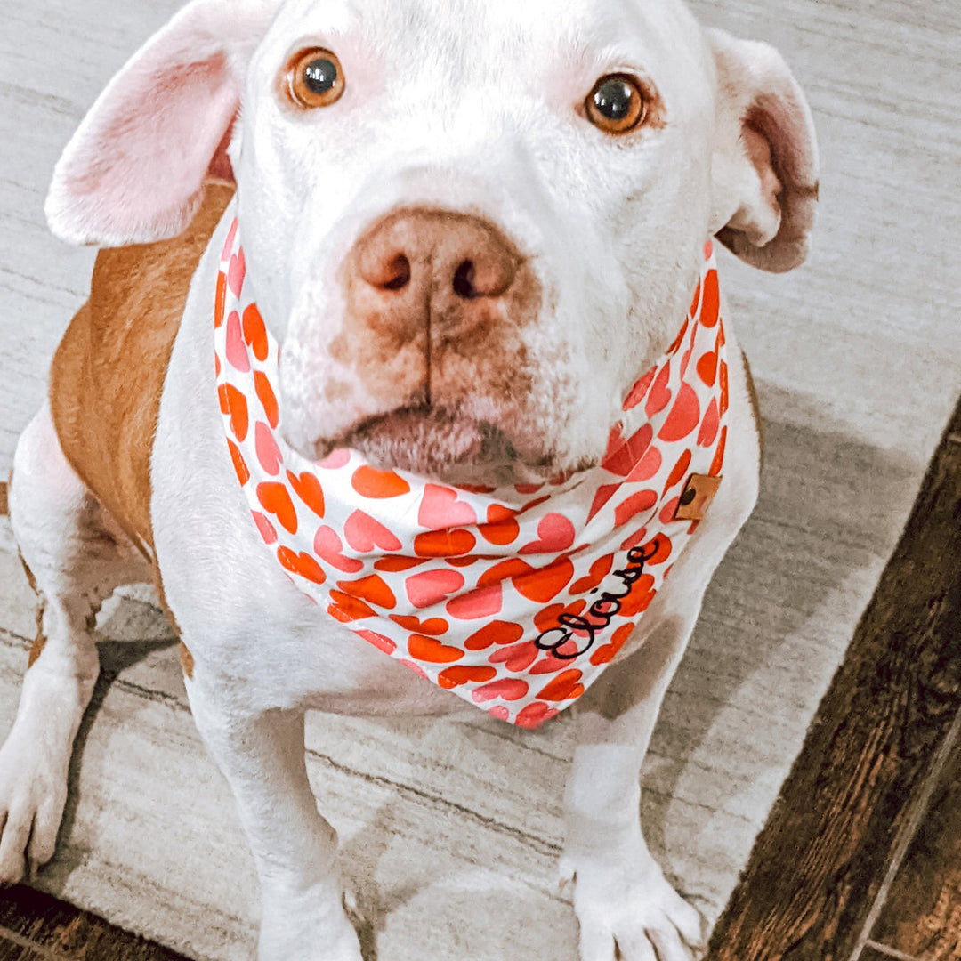Valentine Dog bandana valentine dog gift heart dog