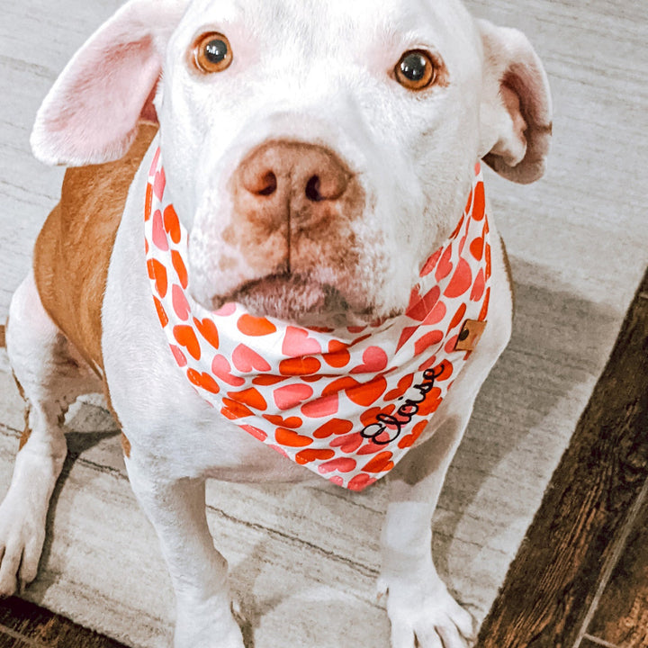 Valentine Dog bandana valentine dog gift heart dog
