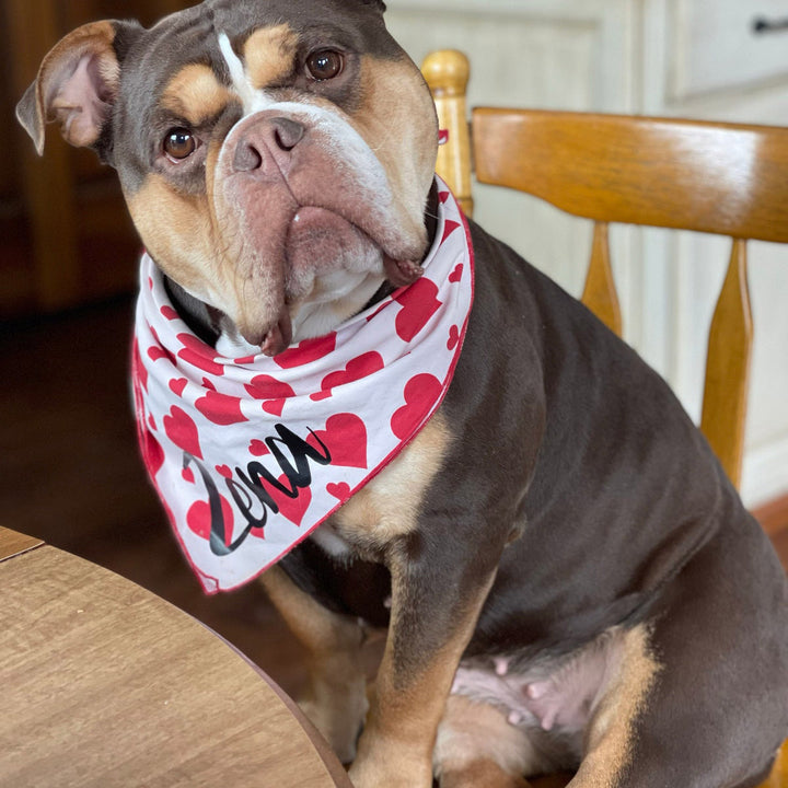 Valentine's Day Dog Bandana, Red Hearts on Blush