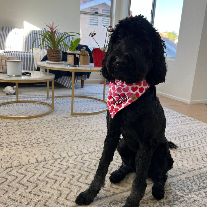 Valentine Dog bandana valentine dog gift heart dog