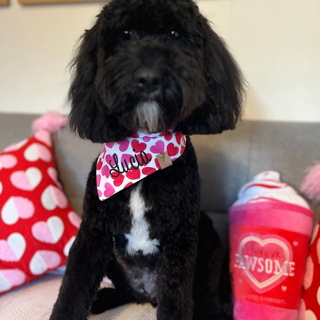 Valentine Dog bandana valentine dog gift heart dog