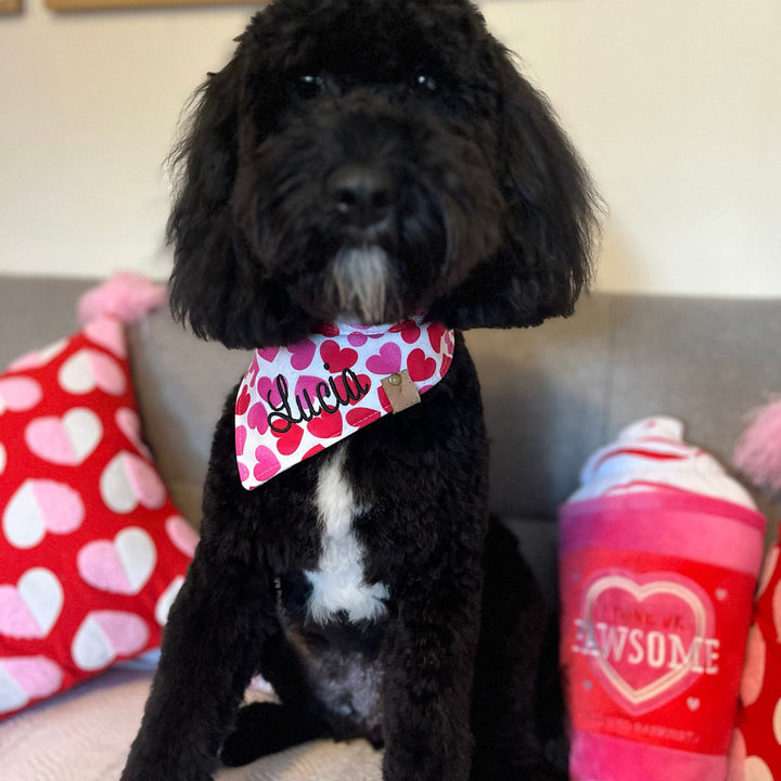 Valentine Dog bandana valentine dog gift heart dog