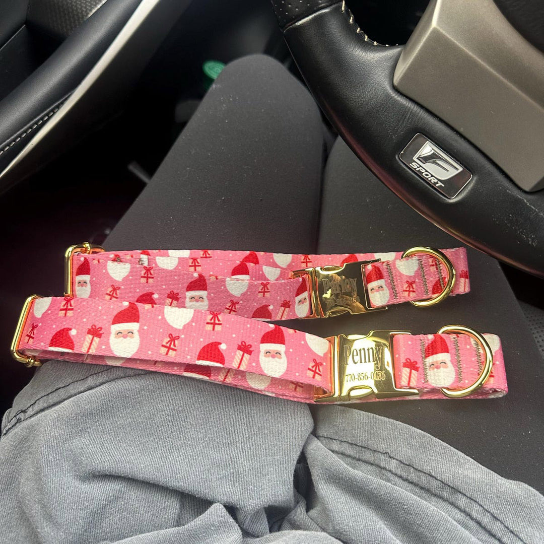 Valentines Dog Collar, Girl Dog Collar, Personalized Dog Collar