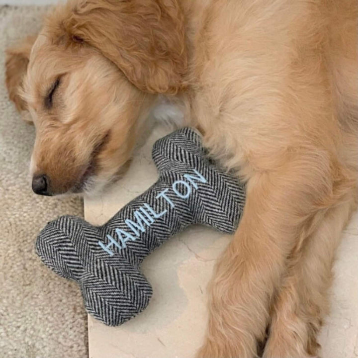 New Puppy Gift. Personalized Dog Toy. Durable Dog Toy. Squeaky Toy. Personalized Pet Gifts