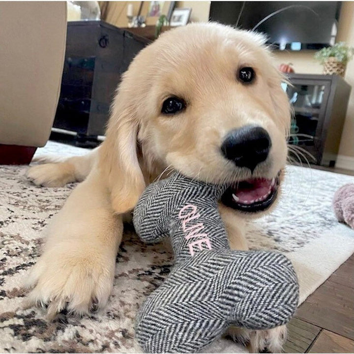 New Puppy Gift. Personalized Dog Toy. Durable Dog Toy. Squeaky Toy. Personalized Pet Gifts