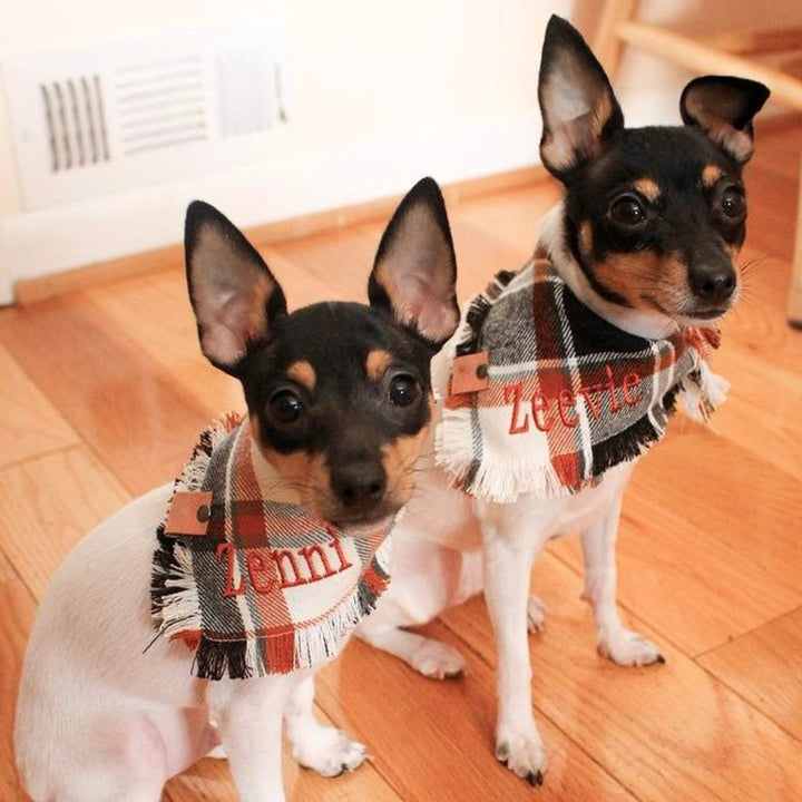 Flannel dog bandana dog gift Fall scarf dog thanksgiving dog bandana fall dog scarf dog fringed bandana plaid dog Halloween bandana frayed