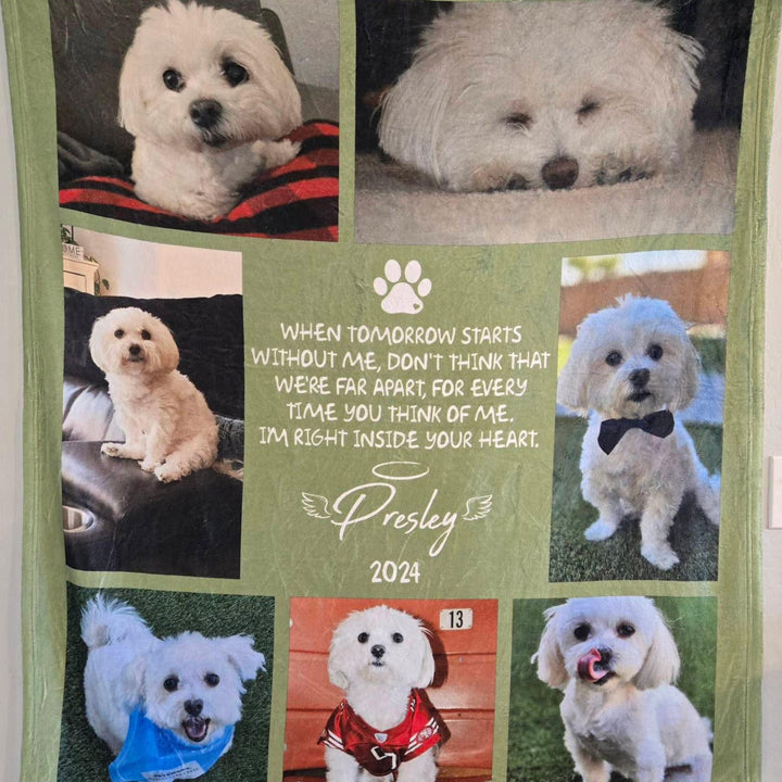 Personalized Memorial Gift For Loss Of Dog, Custom Loss of Pet Sympathy Gift