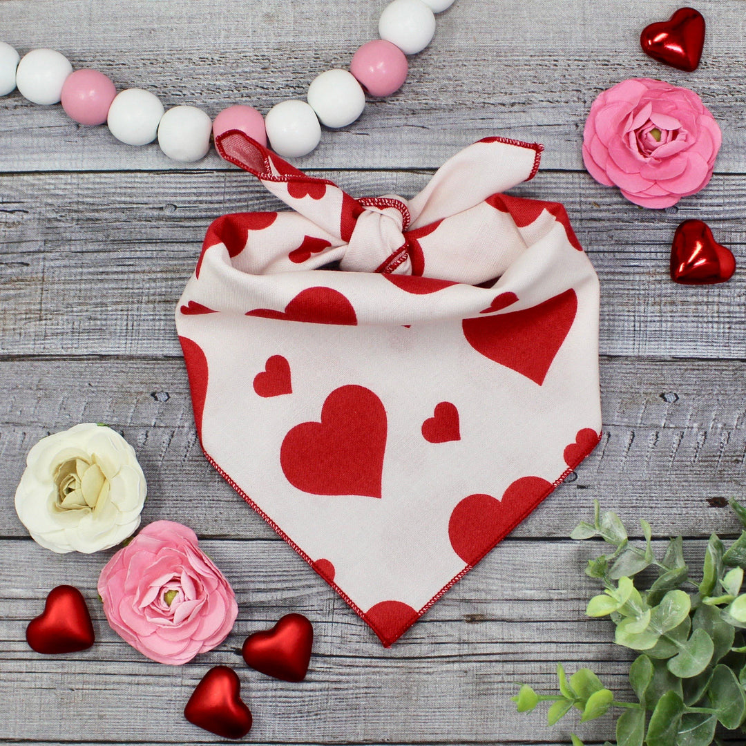Valentine's Day Dog Bandana, Red Hearts on Blush