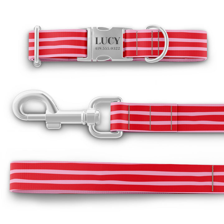 Valentines Dog Collar, Girl Dog Collar, Personalized Dog Collar