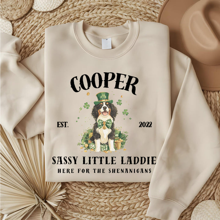 Bernese Mountain Dog Personalized St Patrick's Vintage Sweatshirt